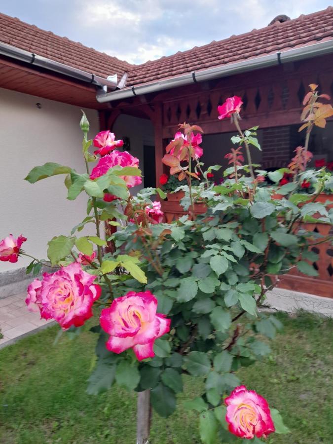 Casa Miki Hotel Hateg Exterior photo