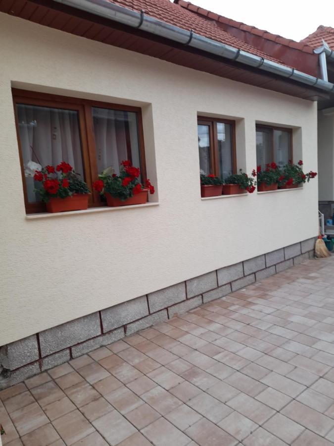 Casa Miki Hotel Hateg Exterior photo