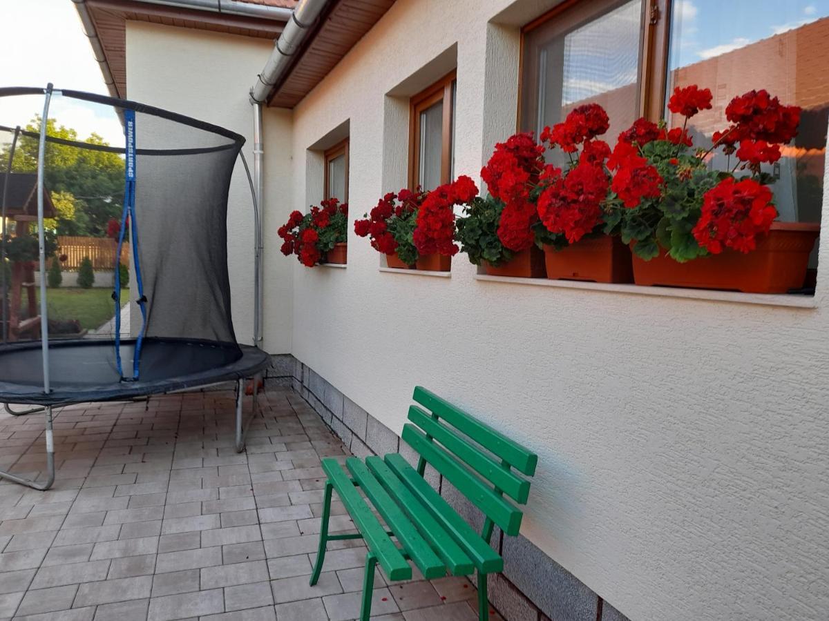 Casa Miki Hotel Hateg Exterior photo