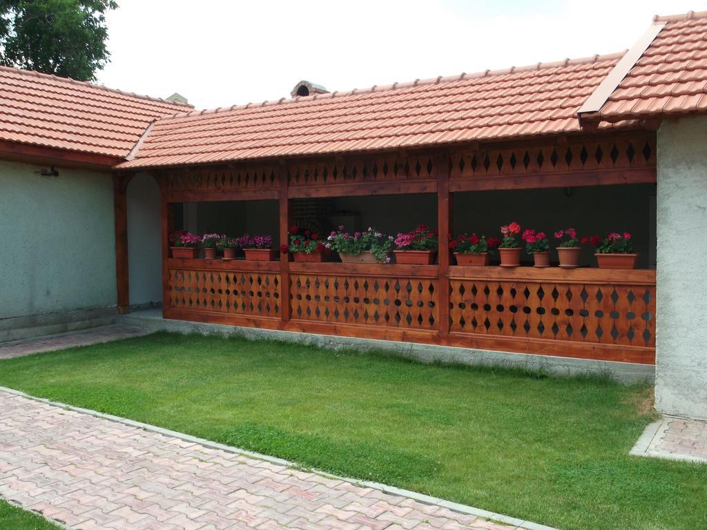 Casa Miki Hotel Hateg Exterior photo