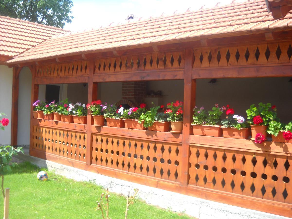 Casa Miki Hotel Hateg Exterior photo